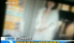 色情直播视频,暗流涌动的虚拟世界